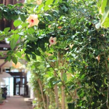 Pôrto das Galinhas Pousada Parador 081 מראה חיצוני תמונה