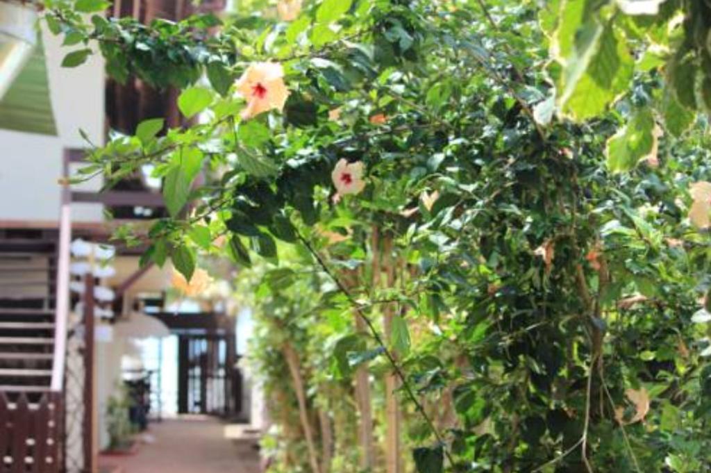 Pôrto das Galinhas Pousada Parador 081 מראה חיצוני תמונה